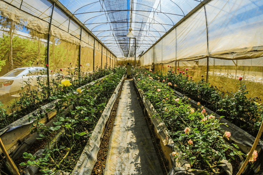 Die besten Steuertipps fr Grtnerei und Gartenbau